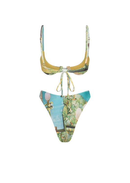 'Garden Room' Vintage Cut Bikini Set