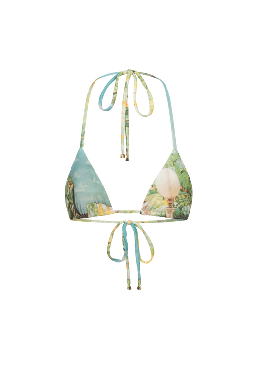 Garden Room Drawstring Bikini Top