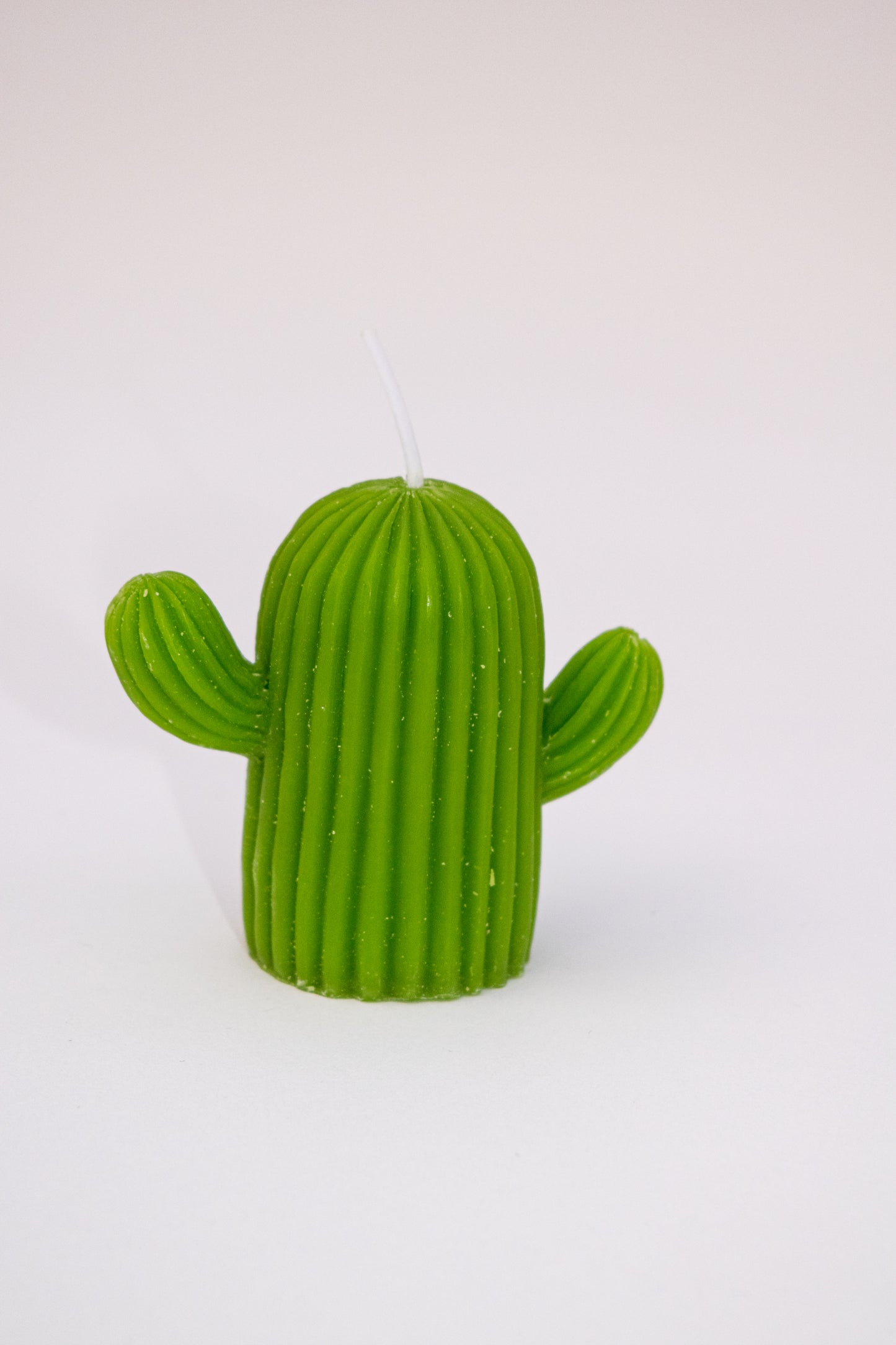 Cactus Candle