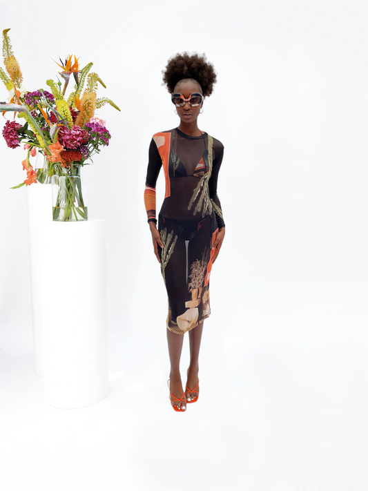 Desert Cactus Mesh Dress